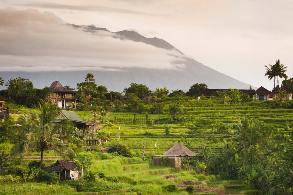 Sidemen trekking trail through lush rice fields in Bali